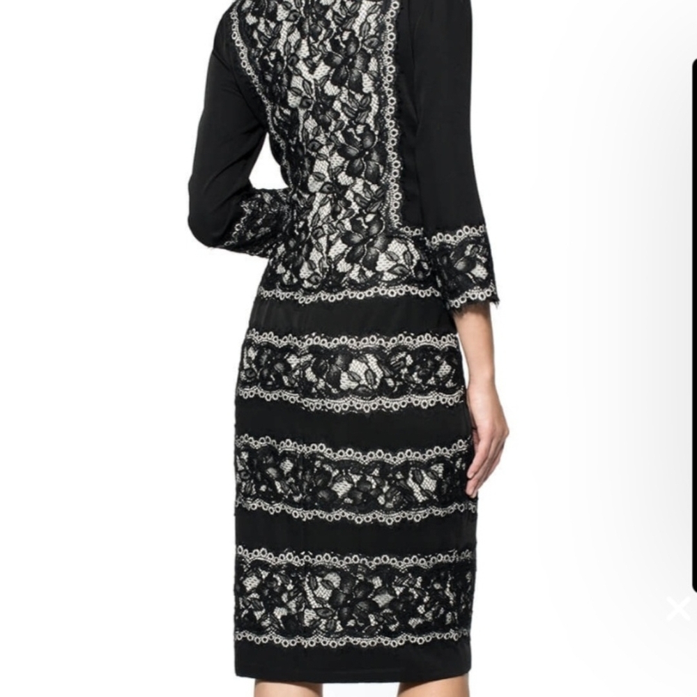 Tadashi Shoji Black and Cream Lace Dress - Picture 2 of 7